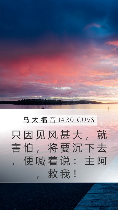 马 太 福 音 14:30 CUVS Bible Verse Image