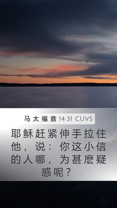 马 太 福 音 14:31 CUVS Bible Verse Image