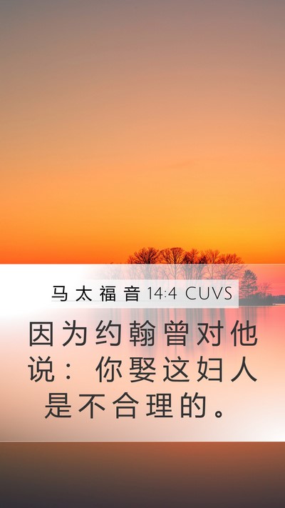 马 太 福 音 14:4 CUVS Mobile Phone Wallpaper - 因 为 约 翰 曾 对 他 说 ： 你 娶 这 - Mobile Bible Verse Wallpaper
