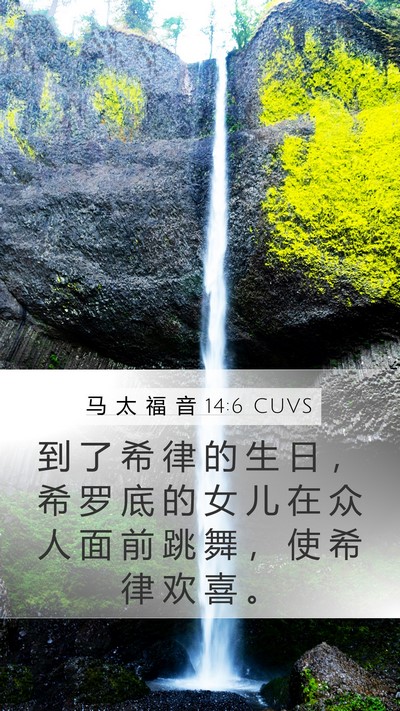 马 太 福 音 14:6 CUVS Bible Verse Image