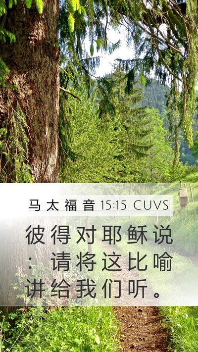 马 太 福 音 15:15 CUVS Bible Verse Image