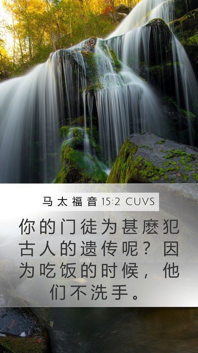 马 太 福 音 15:2 CUVS Bible Verse Image