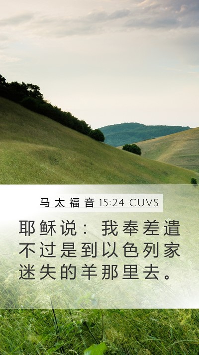马 太 福 音 15:24 CUVS Bible Verse Image