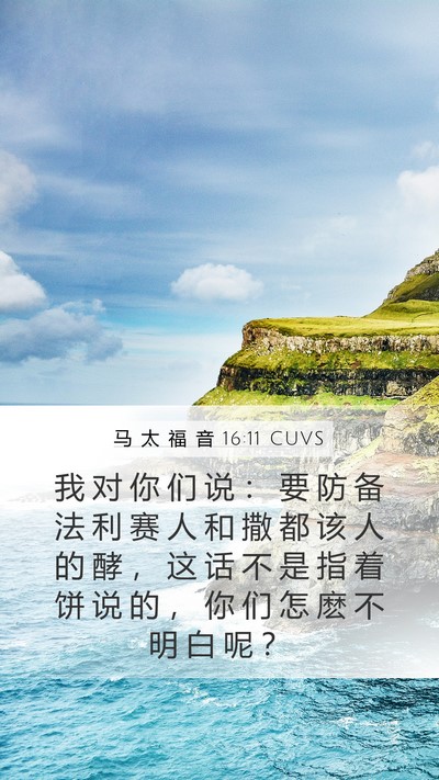 马 太 福 音 16:11 CUVS Bible Verse Image