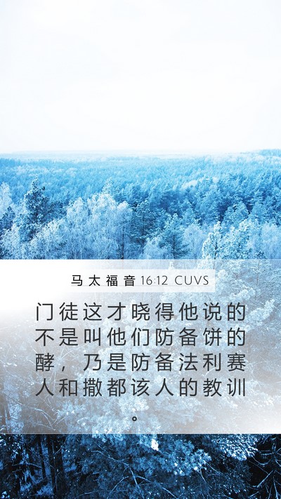 马 太 福 音 16:12 CUVS Bible Verse Image