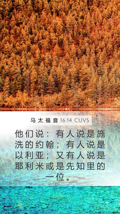 马 太 福 音 16:14 CUVS Bible Verse Image
