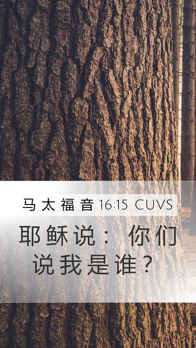 马 太 福 音 16:15 CUVS Bible Verse Image