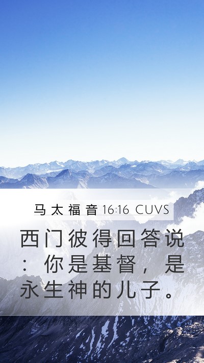 马 太 福 音 16:16 CUVS Bible Verse Image