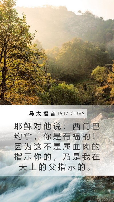 马 太 福 音 16:17 CUVS Bible Verse Image