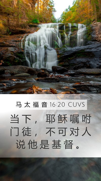 马 太 福 音 16:20 CUVS Bible Verse Image