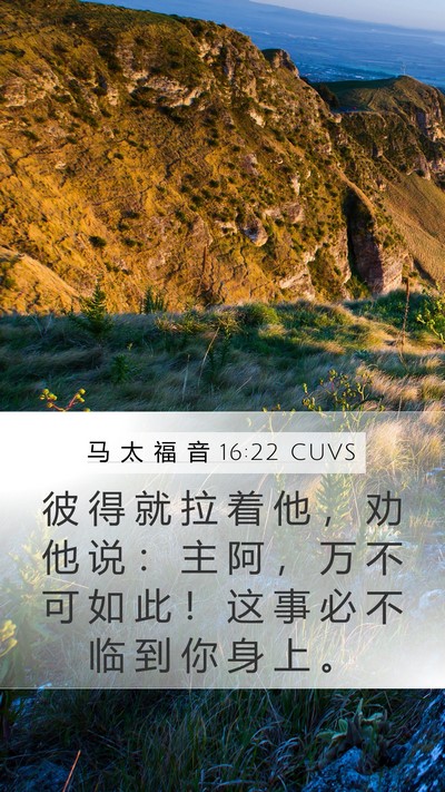 马 太 福 音 16:22 CUVS Bible Verse Image