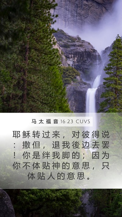 马 太 福 音 16:23 CUVS Bible Verse Image