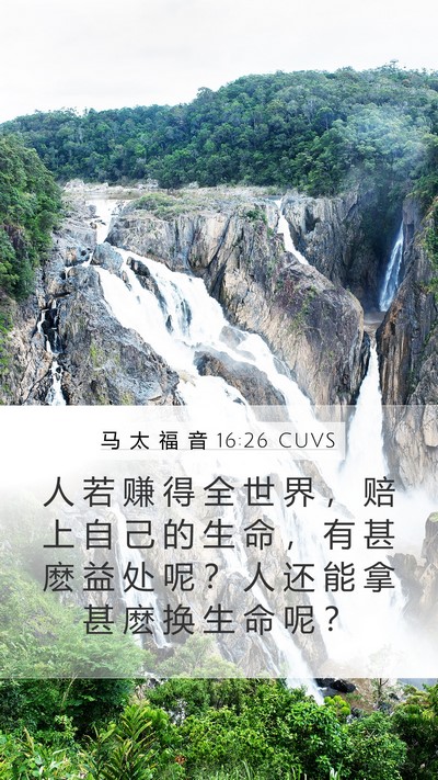 马 太 福 音 16:26 CUVS Bible Verse Image