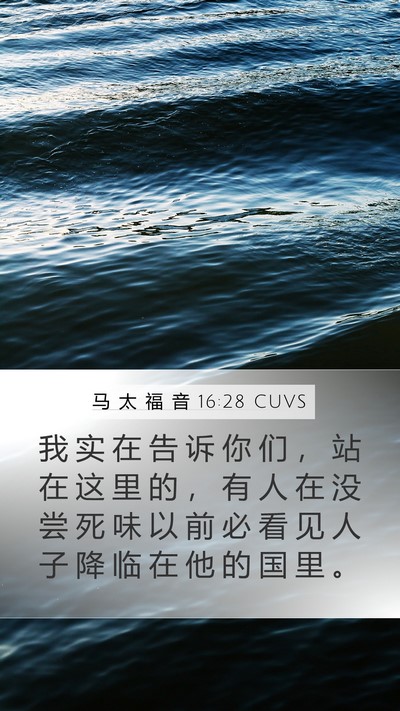 马 太 福 音 16:28 CUVS Bible Verse Image