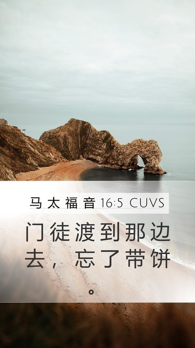 马 太 福 音 16:5 CUVS Bible Verse Image