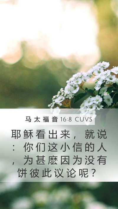马 太 福 音 16:8 CUVS Bible Verse Image