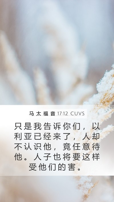 马 太 福 音 17:12 CUVS Bible Verse Image