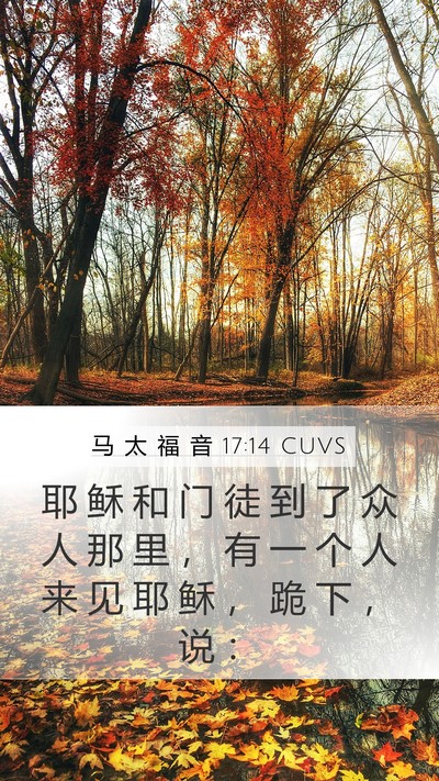 马 太 福 音 17:14 CUVS Bible Verse Image
