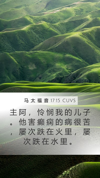 马 太 福 音 17:15 CUVS Bible Verse Image