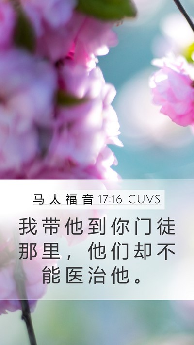 马 太 福 音 17:16 CUVS Bible Verse Image