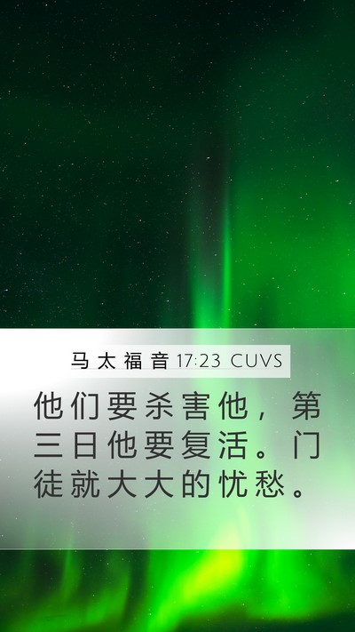 马 太 福 音 17:23 CUVS Bible Verse Image