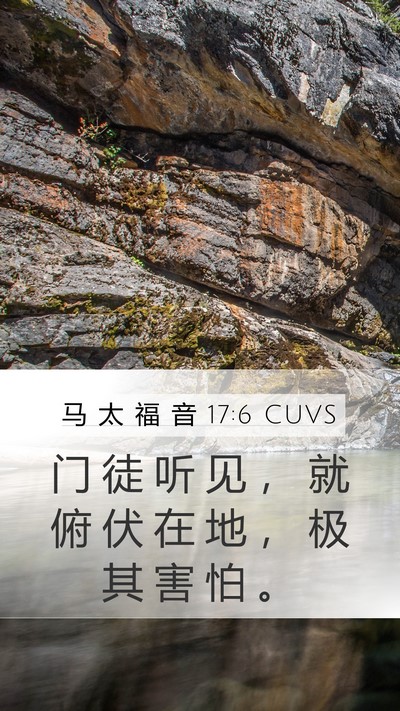马 太 福 音 17:6 CUVS Bible Verse Image