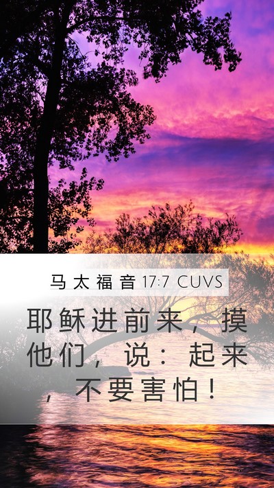 马 太 福 音 17:7 CUVS Mobile Phone Wallpaper - 耶 稣 进 前 来 ， 摸 他 们 ， 说 ： - Mobile Bible Verse Wallpaper