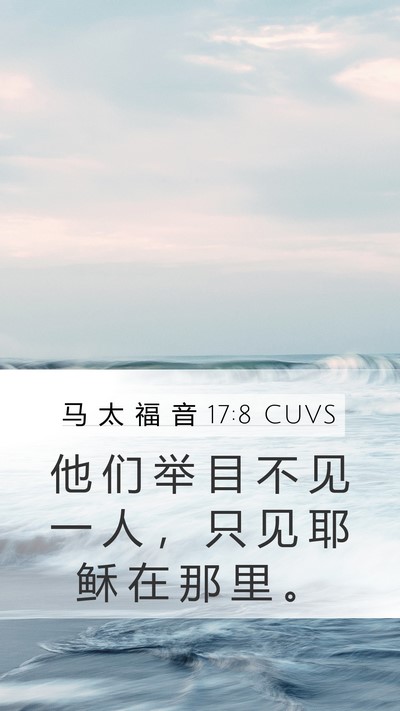 马 太 福 音 17:8 CUVS Bible Verse Image