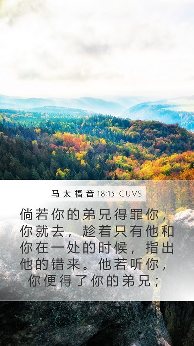 马 太 福 音 18:15 CUVS Bible Verse Image
