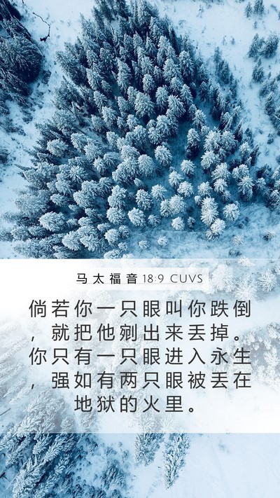 马 太 福 音 18:9 CUVS Bible Verse Image
