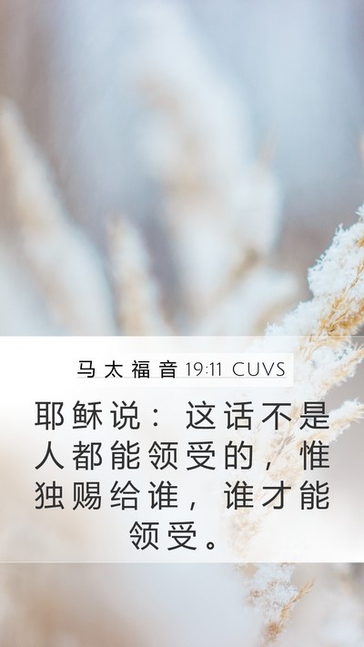 马 太 福 音 19:11 CUVS Bible Verse Image