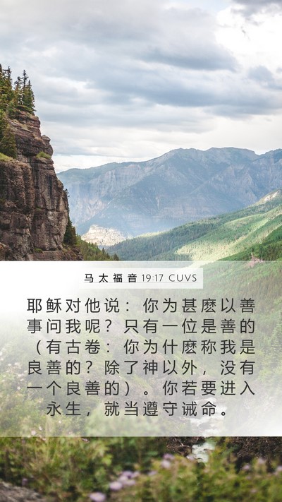 马 太 福 音 19:17 CUVS Bible Verse Image