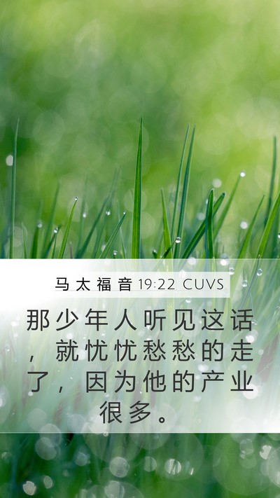 马 太 福 音 19:22 CUVS Bible Verse Image