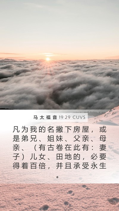 马 太 福 音 19:29 CUVS Bible Verse Image