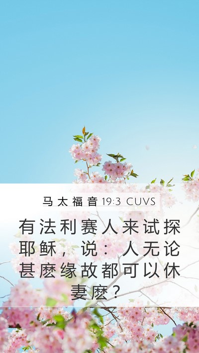 马 太 福 音 19:3 CUVS Bible Verse Image