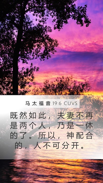 马 太 福 音 19:6 CUVS Mobile Phone Wallpaper - 既 然 如 此 ， 夫 妻 不 再 是 两 个 - Mobile Bible Verse Wallpaper