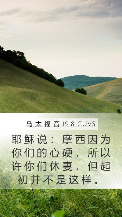 马 太 福 音 19:8 CUVS Bible Verse Image