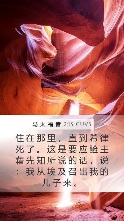 马 太 福 音 2:15 CUVS Mobile Phone Wallpaper - 住 在 那 里 ， 直 到 希 律 死 了 。 - Mobile Bible Verse Wallpaper