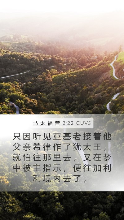 马 太 福 音 2:22 CUVS Bible Verse Image