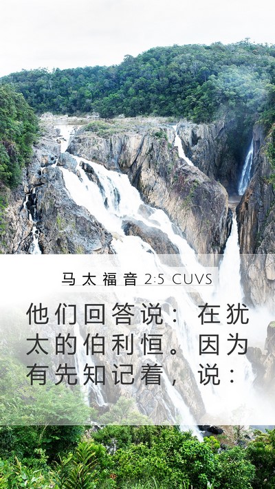 马 太 福 音 2:5 CUVS Bible Verse Image