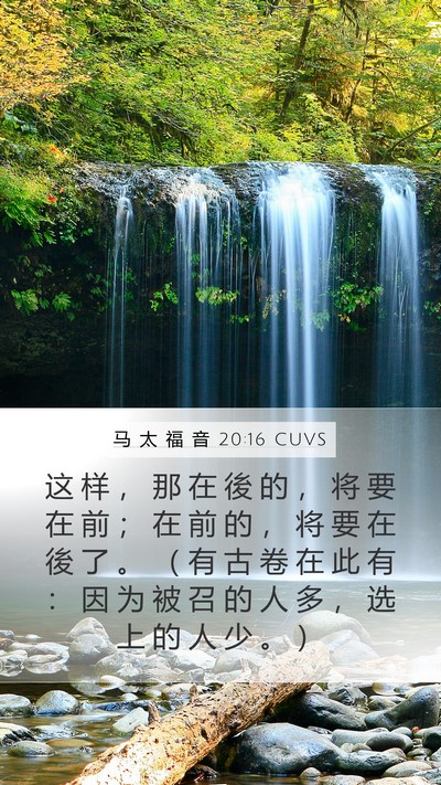 马 太 福 音 20:16 CUVS Bible Verse Image