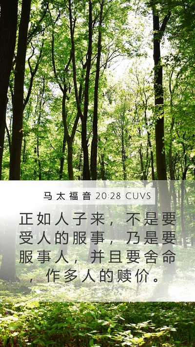 马 太 福 音 20:28 CUVS Bible Verse Image