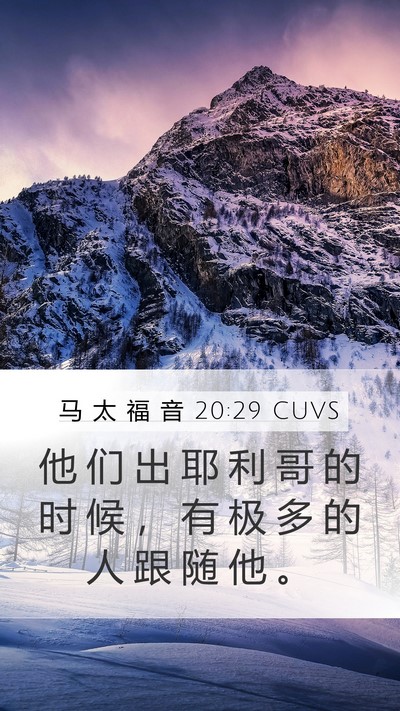 马 太 福 音 20:29 CUVS Bible Verse Image