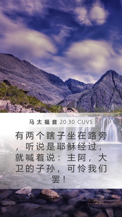 马 太 福 音 20:30 CUVS Bible Verse Image