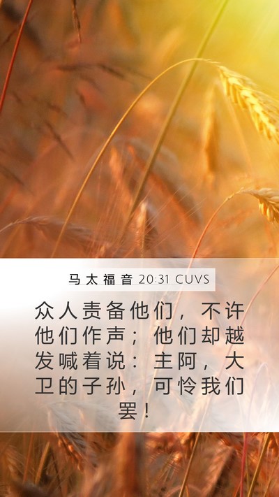 马 太 福 音 20:31 CUVS Bible Verse Image