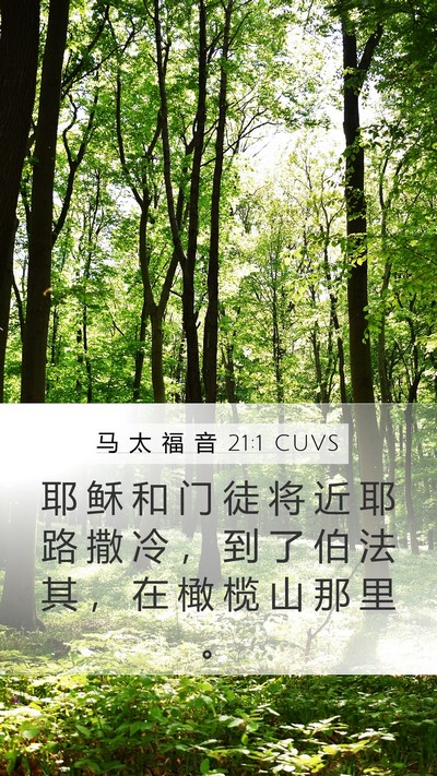 马 太 福 音 21:1 CUVS Mobile Phone Wallpaper - 耶 稣 和 门 徒 将 近 耶 路 撒 冷 ， - Mobile Bible Verse Wallpaper