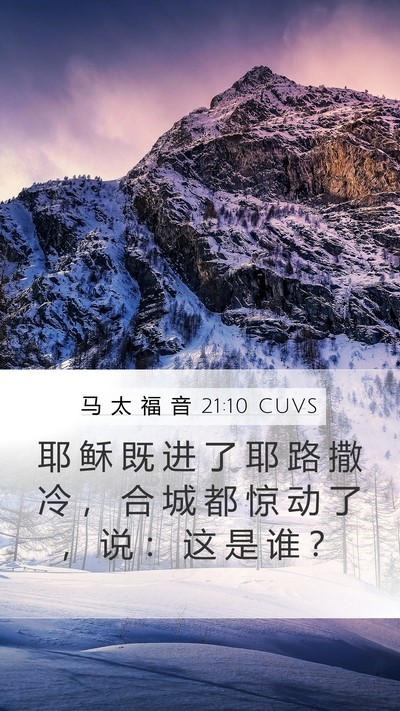 马 太 福 音 21:10 CUVS Bible Verse Image