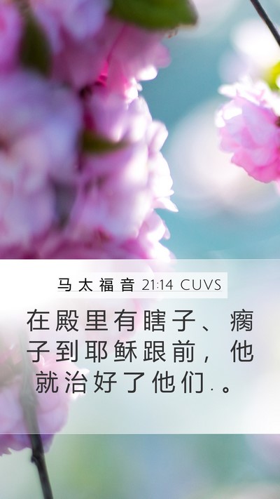 马 太 福 音 21:14 CUVS Bible Verse Image