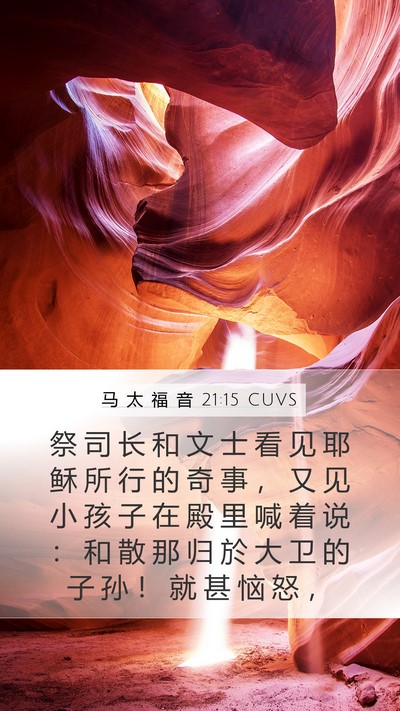 马 太 福 音 21:15 CUVS Bible Verse Image