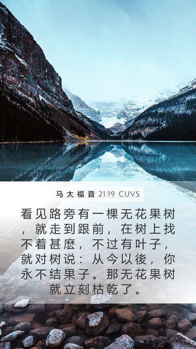 马 太 福 音 21:19 CUVS Bible Verse Image